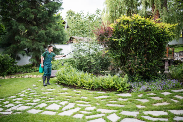 Best Mosquito Control Services  in Rochester, PA